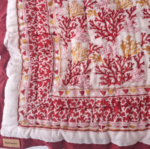 Load image into Gallery viewer, Coral ~ bebé blanket~
